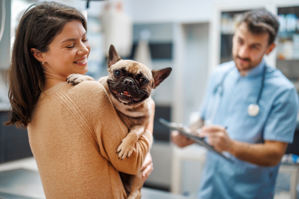 Hunde-OP Versicherung Test und Vergleich