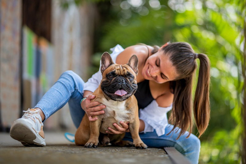 Hundeversicherung für Französische Bulldogge