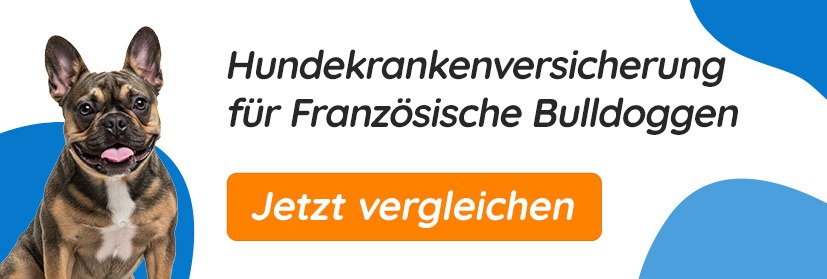 Hundekrankenversicherung für Französische Bulldoggen
