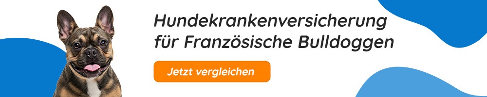 Hundekrankenversicherung für Französische Bulldoggen
