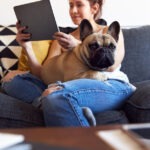 Hundeversicherung für Französische Bulldogge mit Kastration